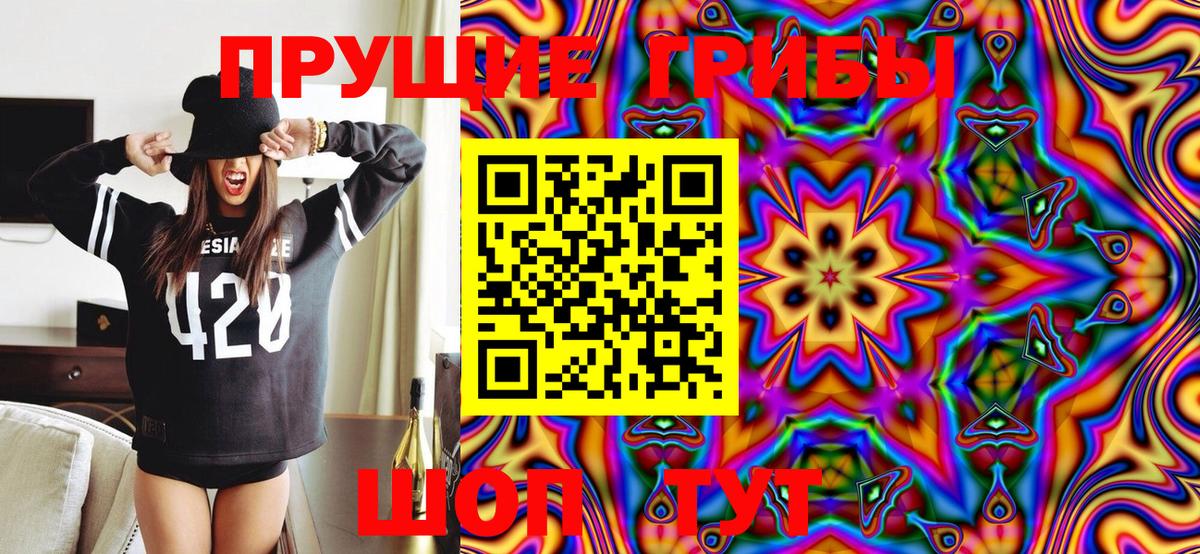 Галлюциногенные грибы MAGIC MUSHROOMS Мурино